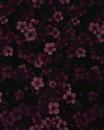 Romanitjersey LITTLE FLOWER